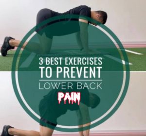 Read more about the article 3 best exercises to prevent lower back pain